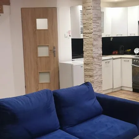 Dom Drewniany Z Kominkiem I Klimatyzacja Lokalizacja Trzy Jeziora I Lasy Swornegacie