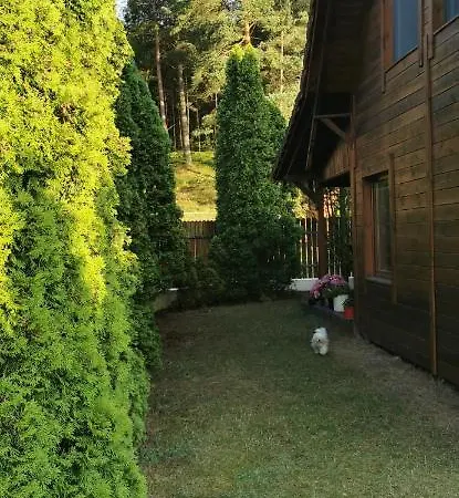 Dom Drewniany Z Kominkiem I Klimatyzacja Lokalizacja Trzy Jeziora I Lasy Swornegacie