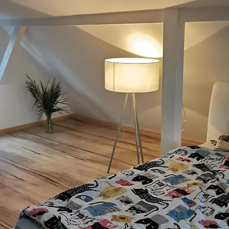 Dom Drewniany Z Kominkiem I Klimatyzacja Lokalizacja Trzy Jeziora I Lasy Swornegacie