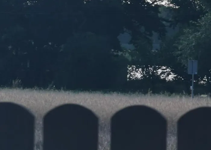 Dom Drewniany Z Kominkiem I Klimatyzacja Lokalizacja Trzy Jeziora I Lasy Swornegacie Semesterbostad