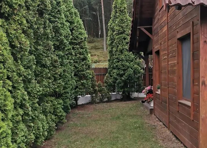 Dom Drewniany Z Kominkiem I Klimatyzacja Lokalizacja Trzy Jeziora I Lasy Swornegacie Male Swornegacie